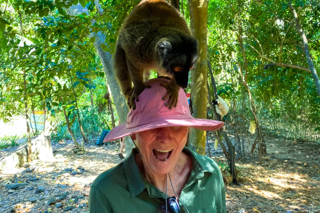 Small lemur perched on a man’s pink hat, man smiling with mouth open in a forested area.