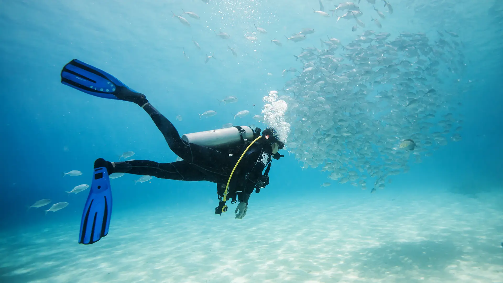Scuba diver with blue fins swimming underwater near a large school of silver fish.