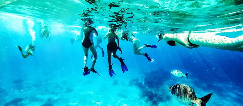 Underwater view of snorkelers swimming above colorful fish in clear blue ocean water.