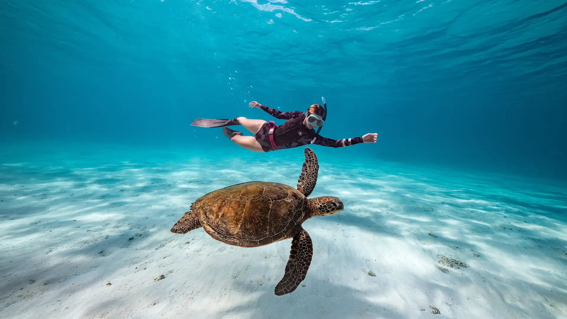 Diver swimming underwater near a large sea turtle in clear blue ocean above sandy bottom.